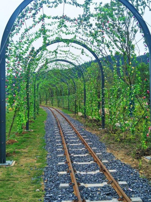 虫虫助手下载