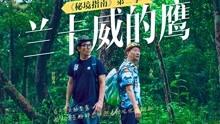 碰到一个不知趣的女同事，天天搭我车，该怎么办？游戏画面