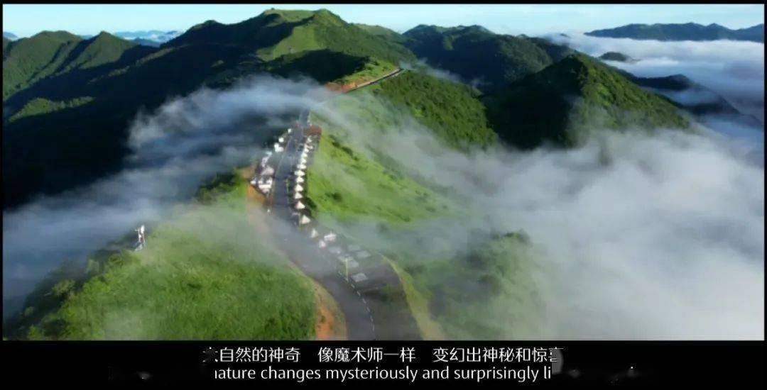 美丽的夜晚